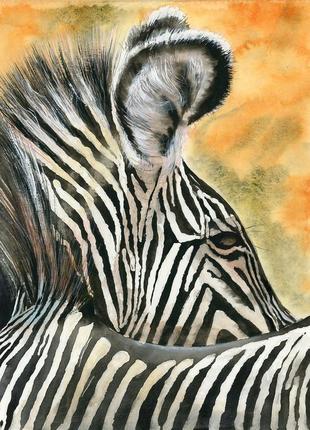 Акварель африканская зебра1 фото