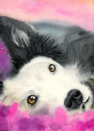 Акварель чорно-білий собака в рожевих польових квітах