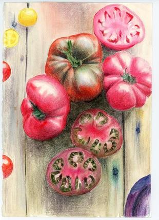 Акварель натюрморт зі стиглими помідорами2 фото