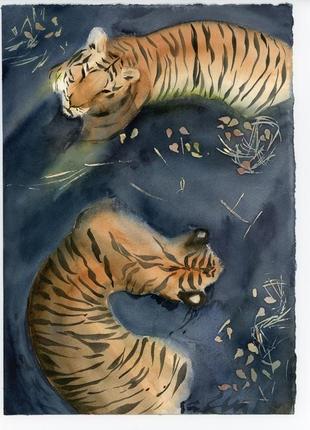 Акварель тигры в пруду2 фото