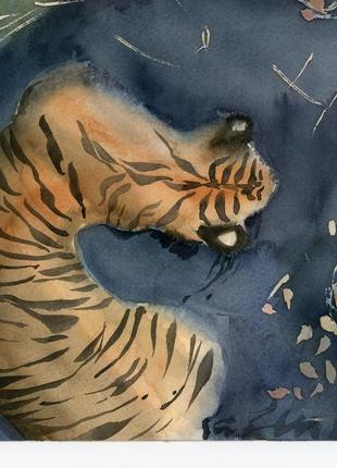 Акварель тигры в пруду4 фото