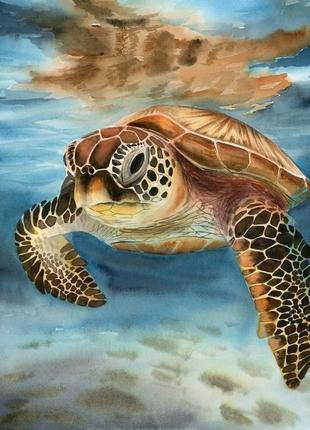 Акварель красивая морская черепаха2 фото