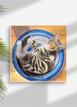 Акварель кот на блюде6 фото