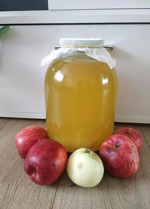 Домашний нефильтрованный яблочный яблучний уксус для похудения3 фото