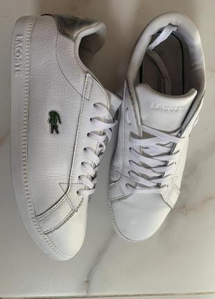 Кеди lacoste