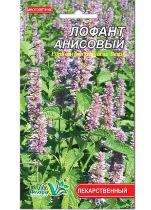 Насіння лофант анісовий 0.1 г лікарський багаторічник