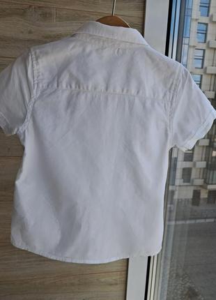 Белая рубашка waikiki 3-4г белая тениска6 фото
