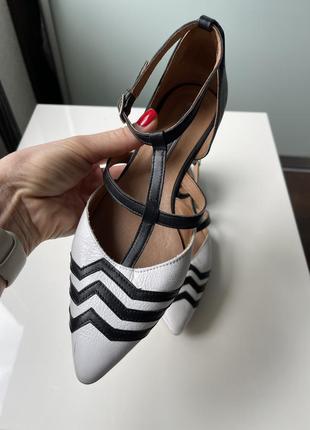 Шкіряні туфлі eureka concept collection