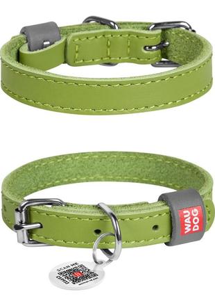 Ошейник для собак кожаный waudog classic, ш 12 мм, дл 19-25 см салатовый