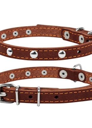 Ошейник "collar" одинарный с украшениями (ширина 14мм, длина 27-35см) коричневый
