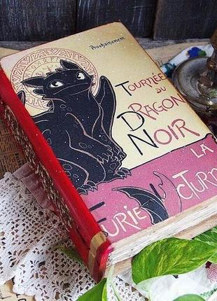 Книга-скринька «ви не бачили мого дракона?»