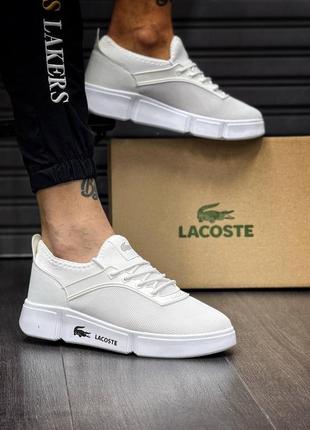 Кроссовки lacoste4 фото