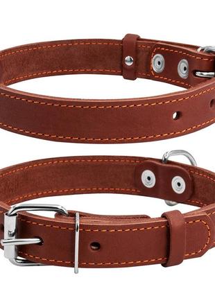 Ошейник "collar" одинарный (ширина 25мм, длина 38-50см) коричневый