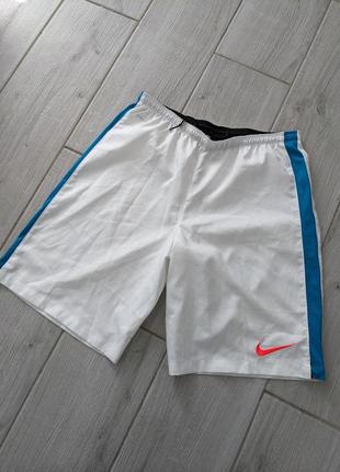 Шорты nike dri-fit мужские