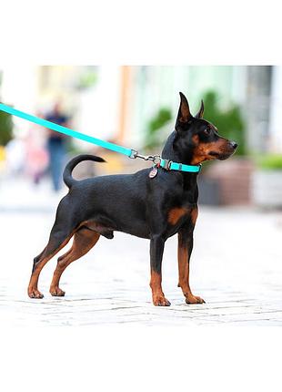 Ошейник для собак водостойкий waudog waterproof c qr-паспортом, светящийся, металлическая пряжка-фастекс, ш 25 мм, дл 34-49 см5 фото