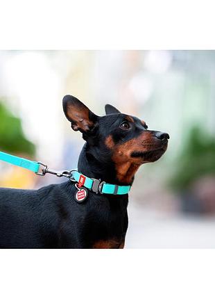 Ошейник для собак водостойкий waudog waterproof c qr-паспортом, светящийся, металлическая пряжка-фастекс, ш 25 мм, дл 34-49 см4 фото