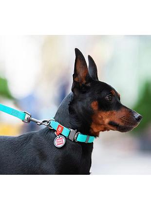 Ошейник для собак водостойкий waudog waterproof c qr-паспортом, светящийся, металлическая пряжка-фастекс, ш 25 мм, дл 34-49 см3 фото