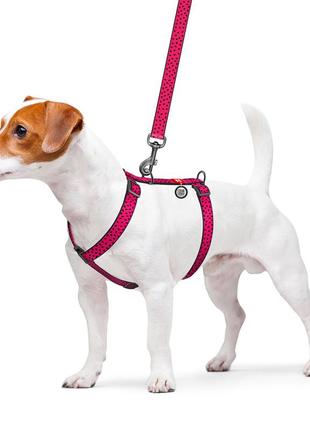 Шлея для собак анатомическая h-образная waudog nylon с qr-паспортом, рисунок "арбуз", пластиковый фастекс, м,3 фото