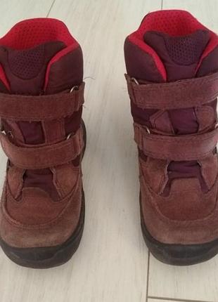 Зимові черевики ecco goretex