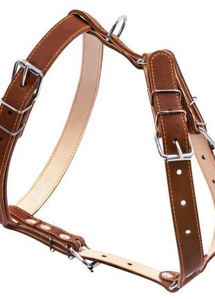Шлея "collar" двойная (ширина 25мм, а:49-68см, в:68-80см) коричневый