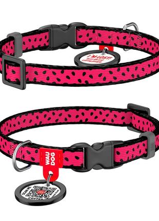 Ошейник для собак нейлоновый waudog nylon c qr паспортом, рисунок "арбуз", пластиковый фастекс, ш 10 мм, дл