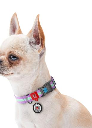 Ошейник для собак нейлоновый waudog nylon c qr паспортом, светящийся/светоотражающий, пластиковый фастекс, ш 15 мм, дл 25-35 см4 фото