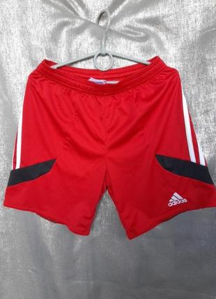 Детские спортивные шорты adidas1 фото