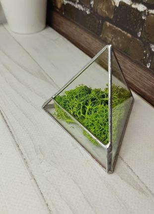 Скляний міні флораріум трикутний4 фото