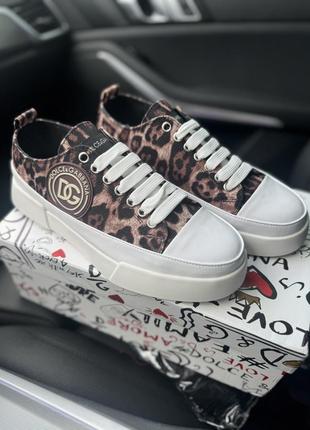 Кеди dolge&gabbana