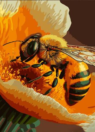 Картина за номерами strateg преміум любителька меду з лаком розміром 30х40 см (ss6778)