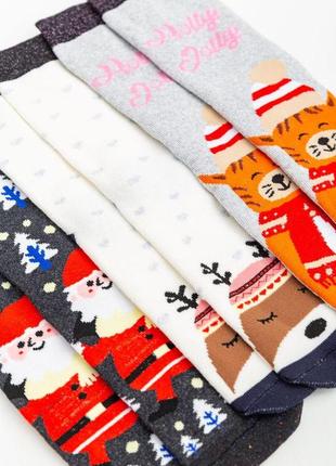 Комплект жіночих шкарпеток новорічних 3 пари, колір молочний;світло-сірий;темно-сірий;, 151r2592 фото