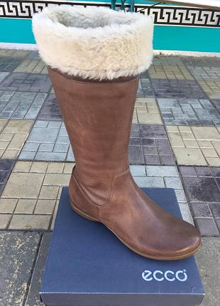 Сапоги женские зимние   ecco jabart 350903 02090