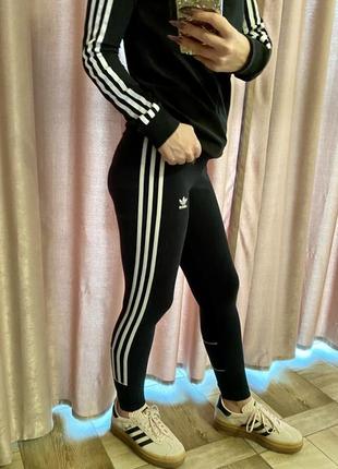 Лосини adidas