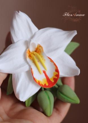"тропическая орхидея с бутонами" заколка цветок в волосы из полимерной глины.1 фото