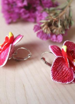 Рожеві сережки квіти орхідеї5 фото