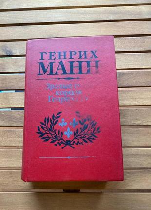 Данжин манн дорослі роки короля генріха Іv