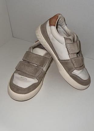Кросівки, кеди zara 25р., 16см