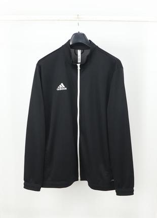 Чоловіча олімпійка adidas