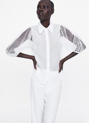Рубашка блуза zara