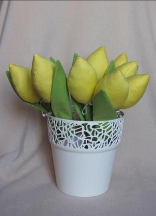 Желтые тюльпаны1 фото