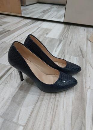 Туфли кожаные темно синие с принтом змеиным