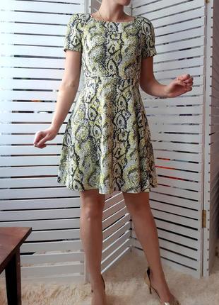 Платье сукня плаття