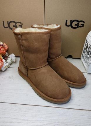 Ugg, угги, угі оригинал