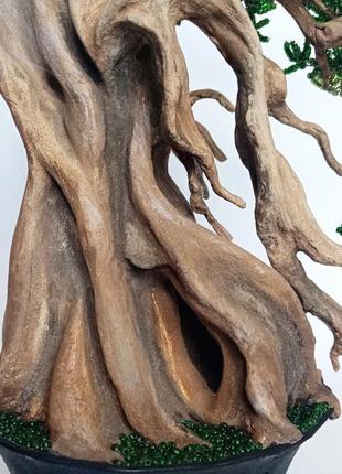 Декоративное дерево бонсай5 фото