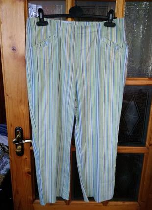 Бріджі стрейчеві.