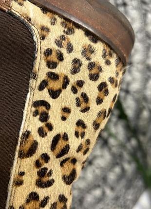 Joules westbourne premium chelsea boots челси леопард животный принт кожа2 фото