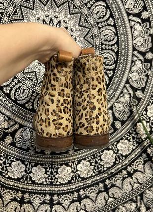 Joules westbourne premium chelsea boots челси леопард животный принт кожа5 фото