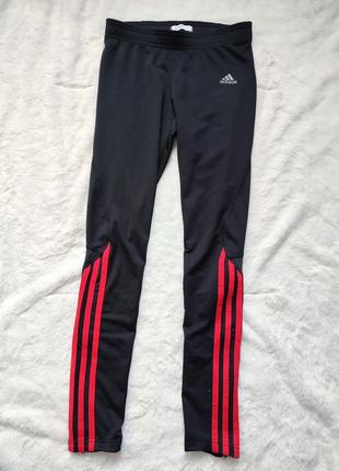 Лосини adidas оригінал