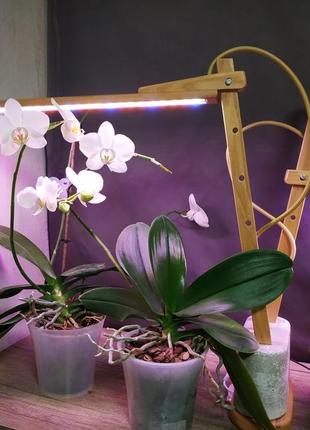 Фито светильник лампа для растений