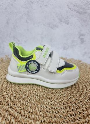 Кроссовки webep